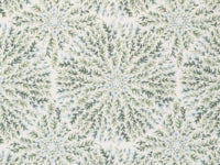 14L - Tilden Spring D Grade