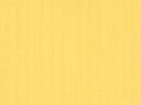 Pattern Color