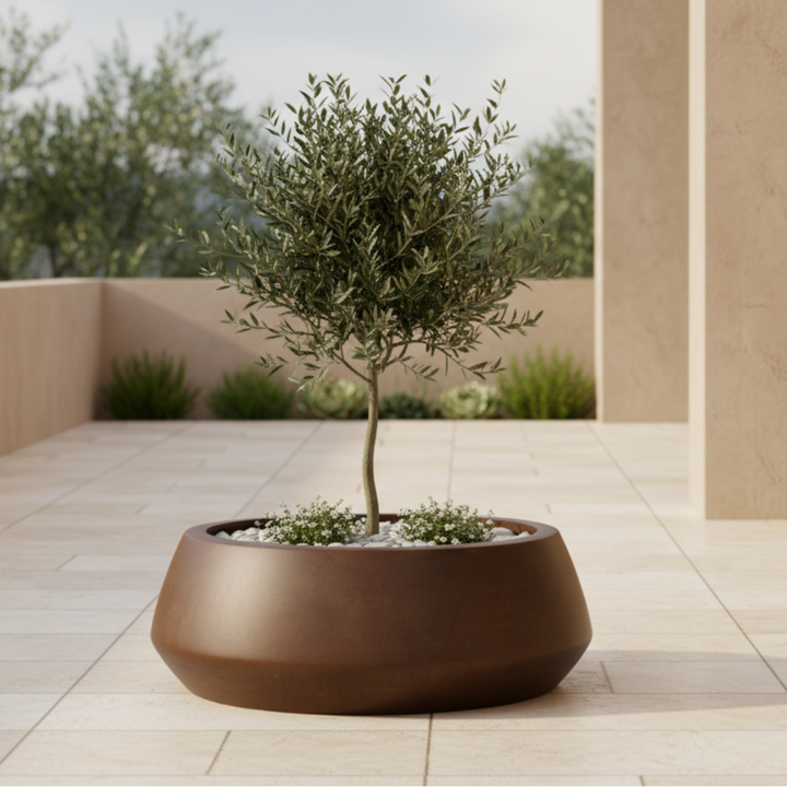 Belize Low Bowl Planter 42X16