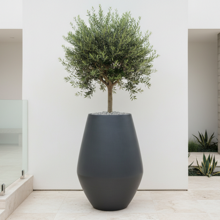 Belize Urn Planter 42X54