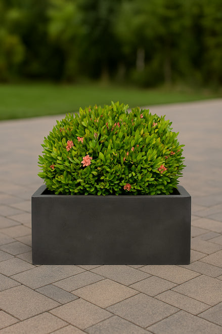 Capri Rectangular Concrete Planter - Modern Elegance for Outdoor Spaces