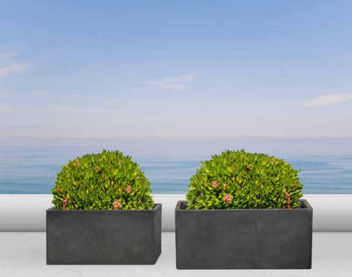 Capri Rectangular Concrete Planter - Modern Elegance for Outdoor Spaces