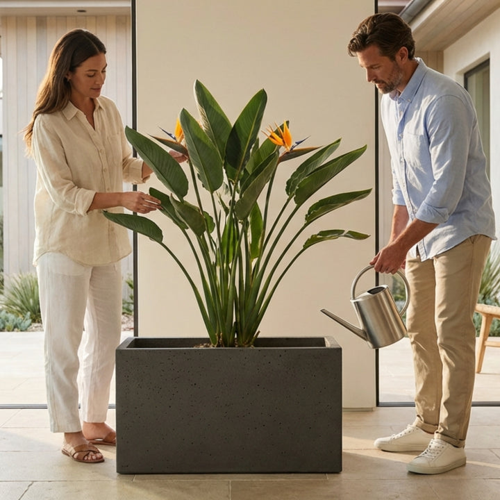 Capri Rectangular Concrete Planter - Modern Elegance for Outdoor Spaces