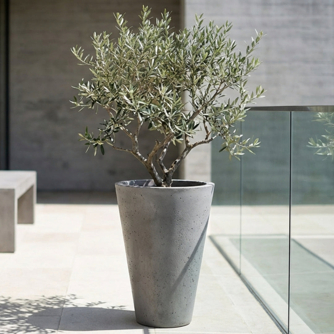 Cono Concrete Planter - Modern Elegance in a Tapered Design