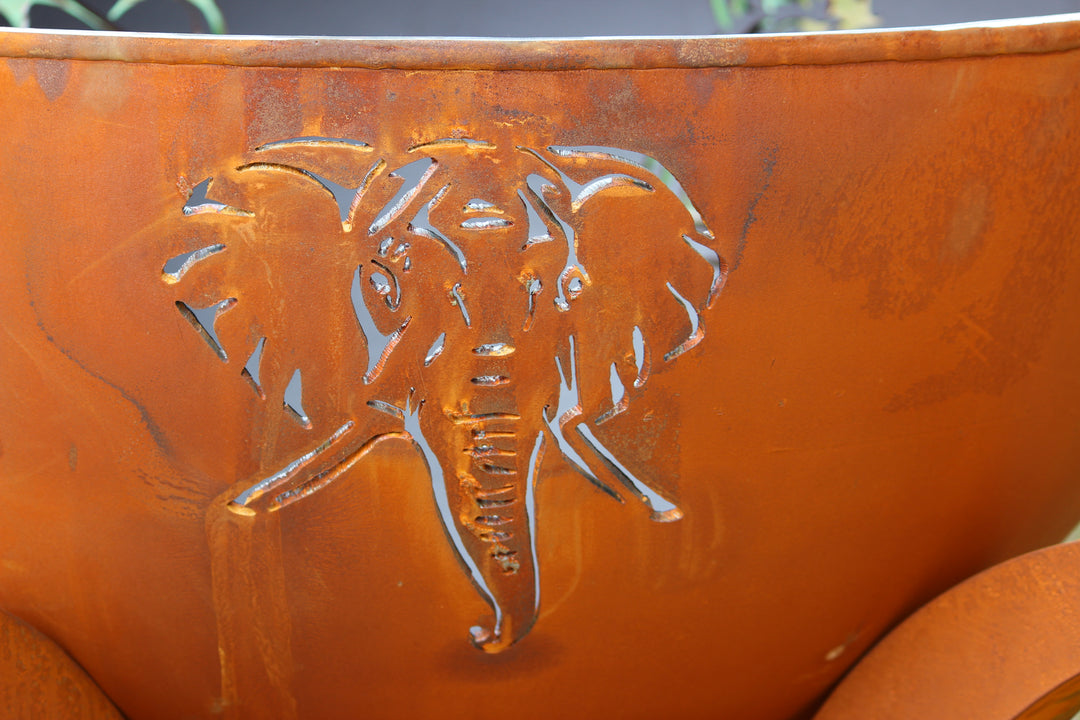Africa's Big Five