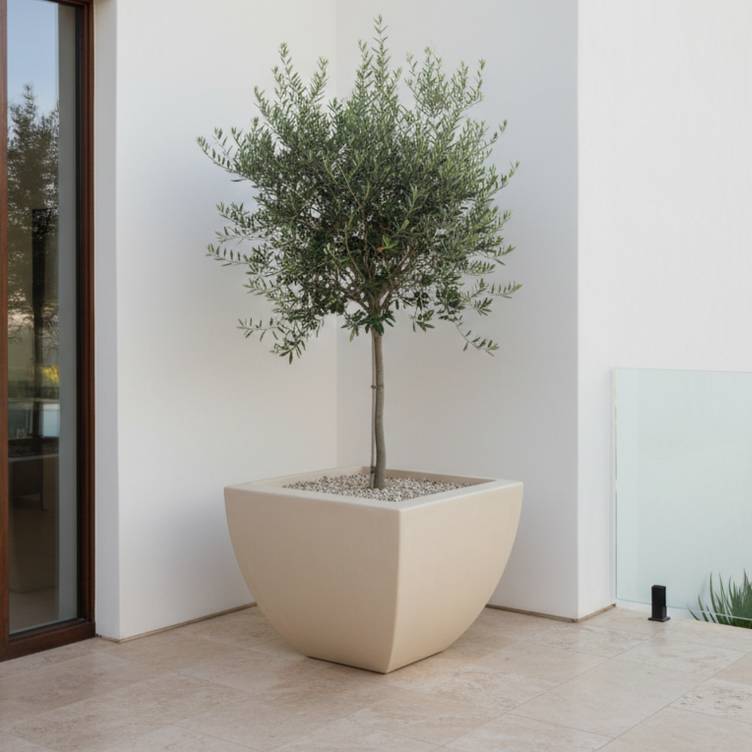 Legacy Square Planter 42X34"