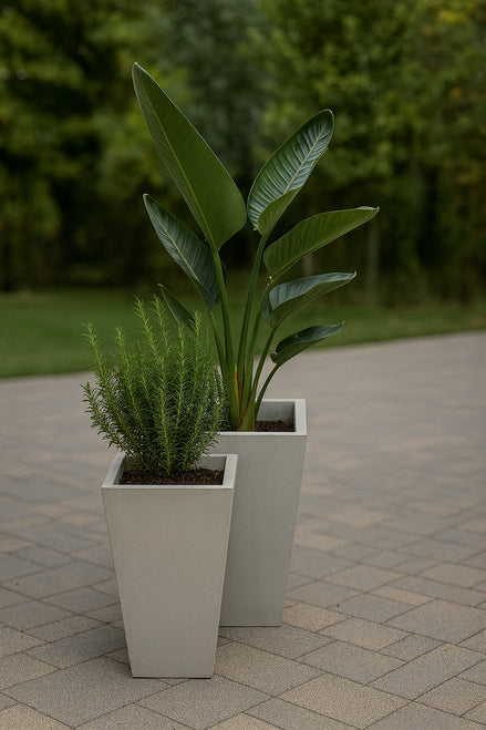 Napoli Concrete Planter – Modern Outdoor Elegance in Two Sleek Sizes