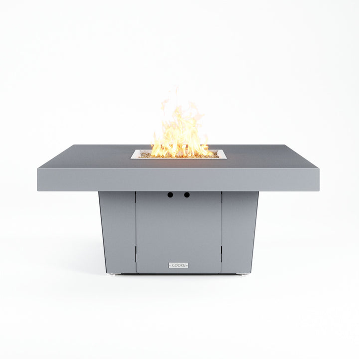 COOKE Parkway Fire Pit Table  48" x 48" x 21"- Grey Aluminum Top