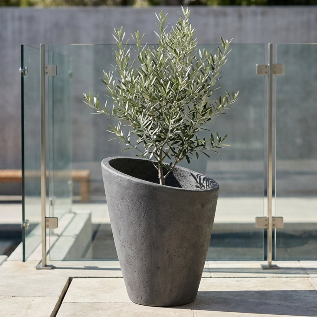 Roma Planter – Modern Sloped Concrete Pot for Elegant Outdoor and Indoor Spaces