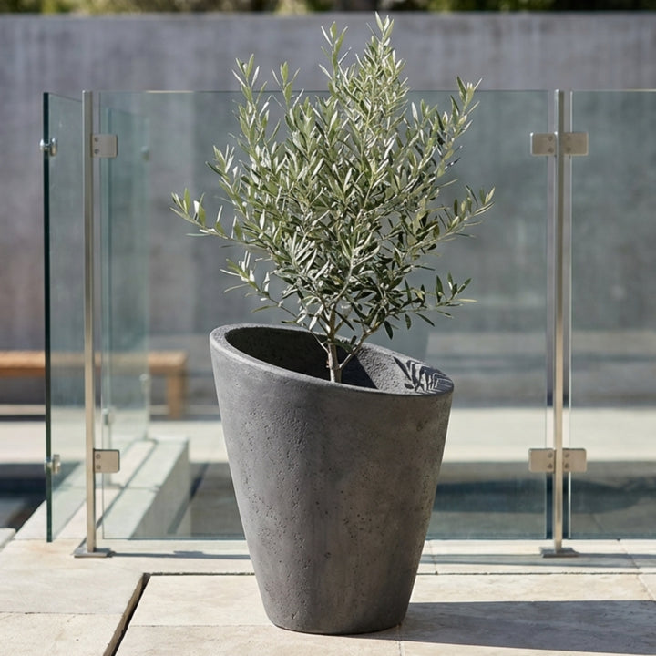Roma Planter – Modern Sloped Concrete Pot for Elegant Outdoor and Indoor Spaces