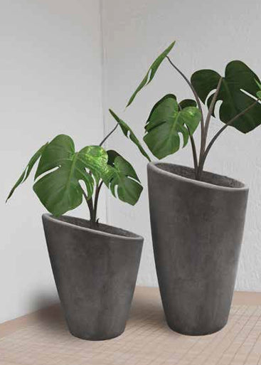 Roma Planter – Modern Sloped Concrete Pot for Elegant Outdoor and Indoor Spaces