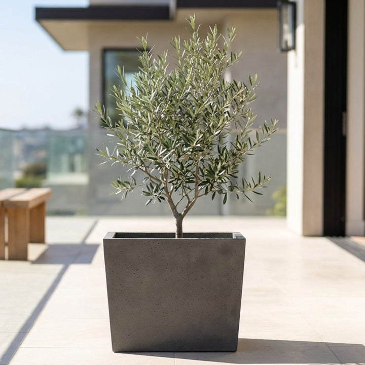SICILY Tapered Concrete Planter – Modern Outdoor Elegance in Three Sizes