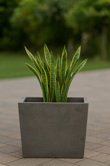 SICILY Tapered Concrete Planter – Modern Outdoor Elegance in Three Sizes