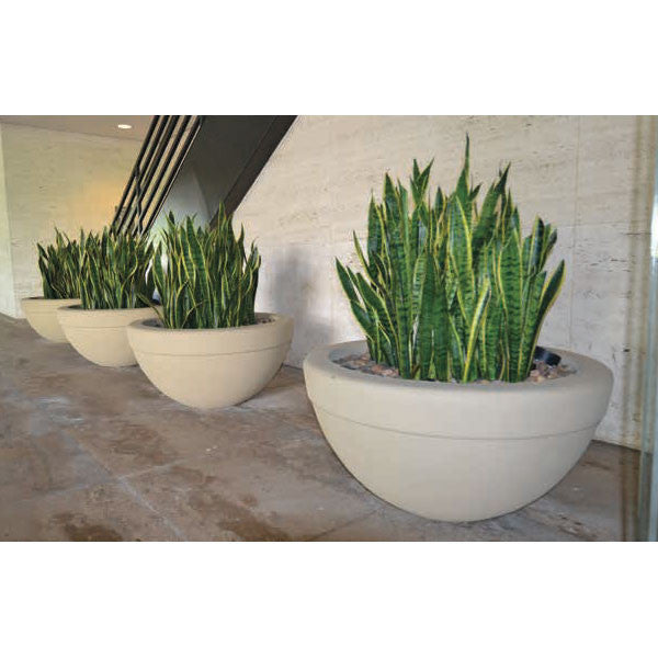 Executive Low Bowl Planter 36X18